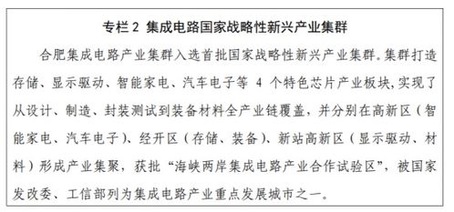 合肥重點支持人工智能產業 打造高端應用系統集成服務新高地